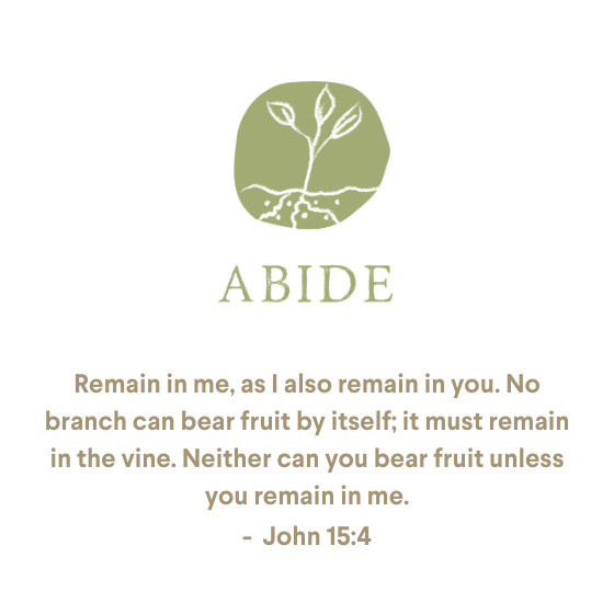 Abide_site
