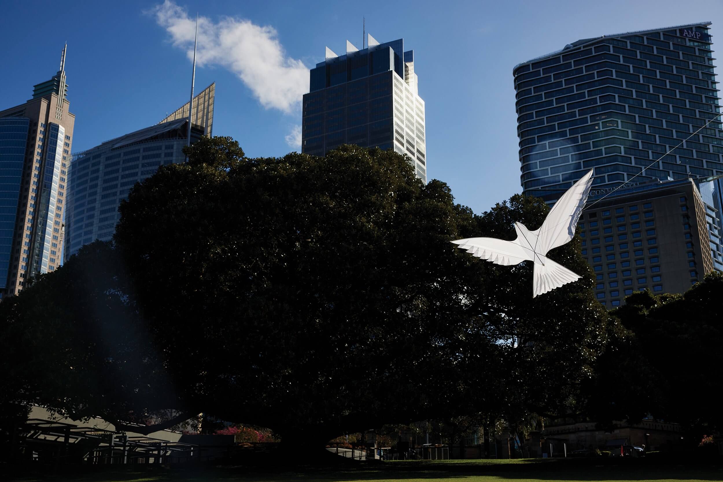 Wesley_Mission_Dove_City_2022_71-1